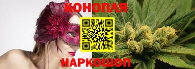 бошки Краснодар