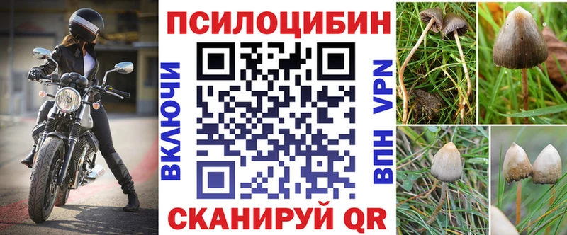hydra ТОР  Куйбышев  Галлюциногенные грибы Psilocybine cubensis 